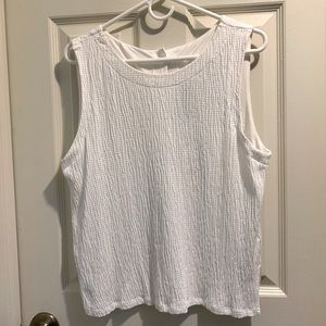 Anthropology Ivory Top NWT